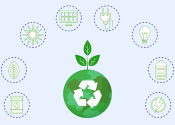 Green Business in 2025: The Most Profitable Eco-Friendly Ventures