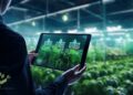 How AI, Robotics, and IoT Are Transforming Farming