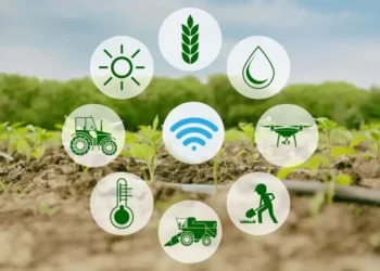 Smart Farms, Smart Profits: The ROI of Precision Agriculture