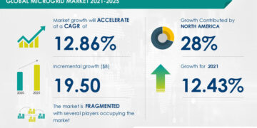 From Garage to Global: Microbrands Dominating Niche Markets in 2025
